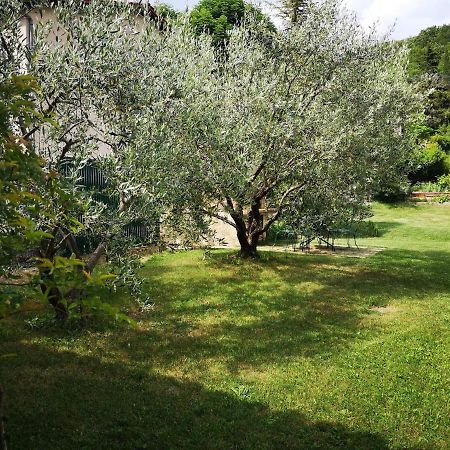 Maison 3 Etoiles Avec Jardin Pour Familles, Sportifs, Curistes... ディーニュ・レ・バン エクステリア 写真