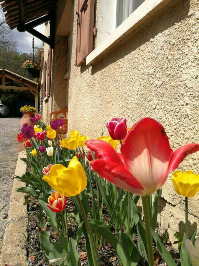Maison 3 Etoiles Avec Jardin Pour Familles, Sportifs, Curistes... ディーニュ・レ・バン エクステリア 写真