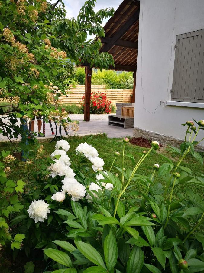 Maison 3 Etoiles Avec Jardin Pour Familles, Sportifs, Curistes... ディーニュ・レ・バン エクステリア 写真